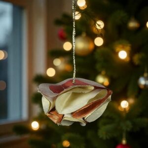 Rose des Brumes Suspension Saumon et Écrue