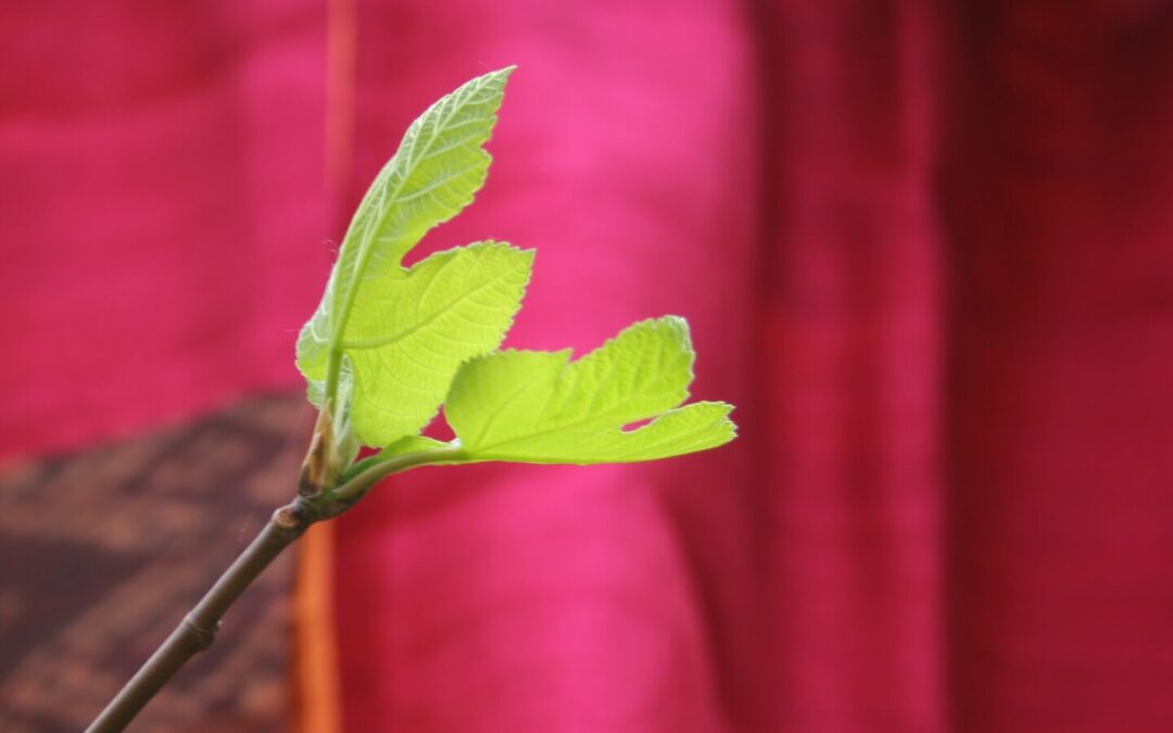 Histoire de matière, d&rsquo;inspiration et de création textile