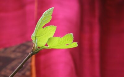 Histoire de matière, d’inspiration et de création textile