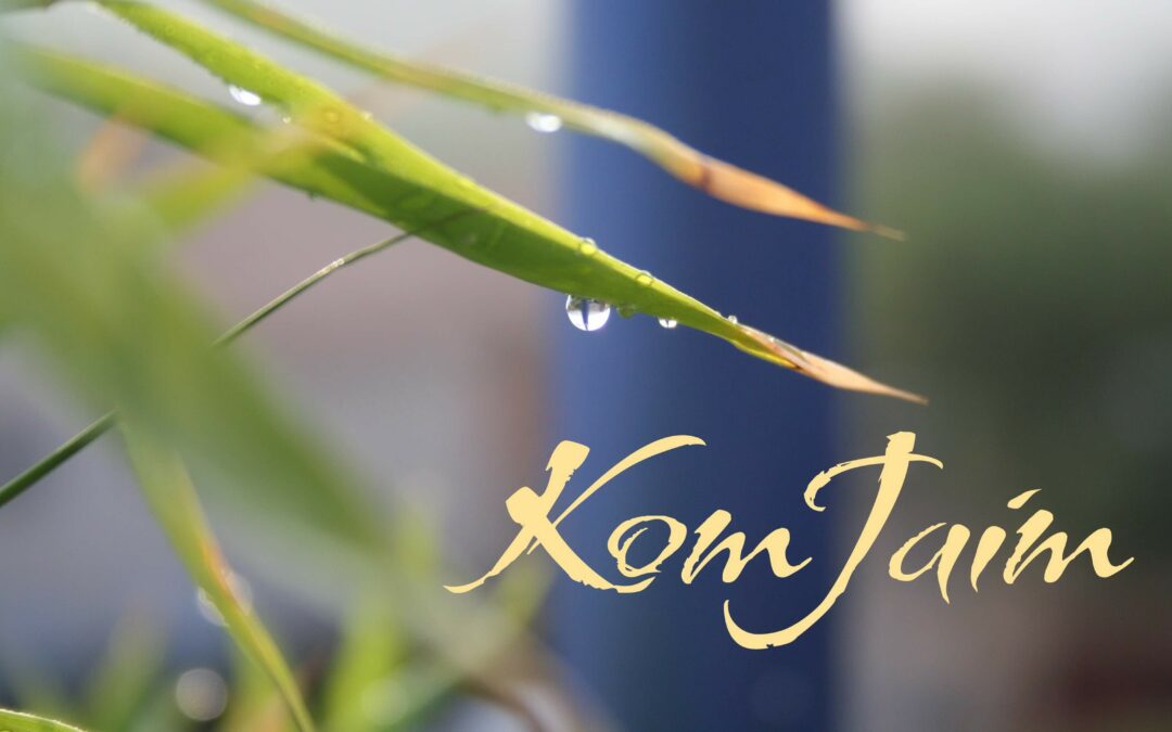 Naissance de KomJaim