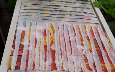 Transformer un raté en art